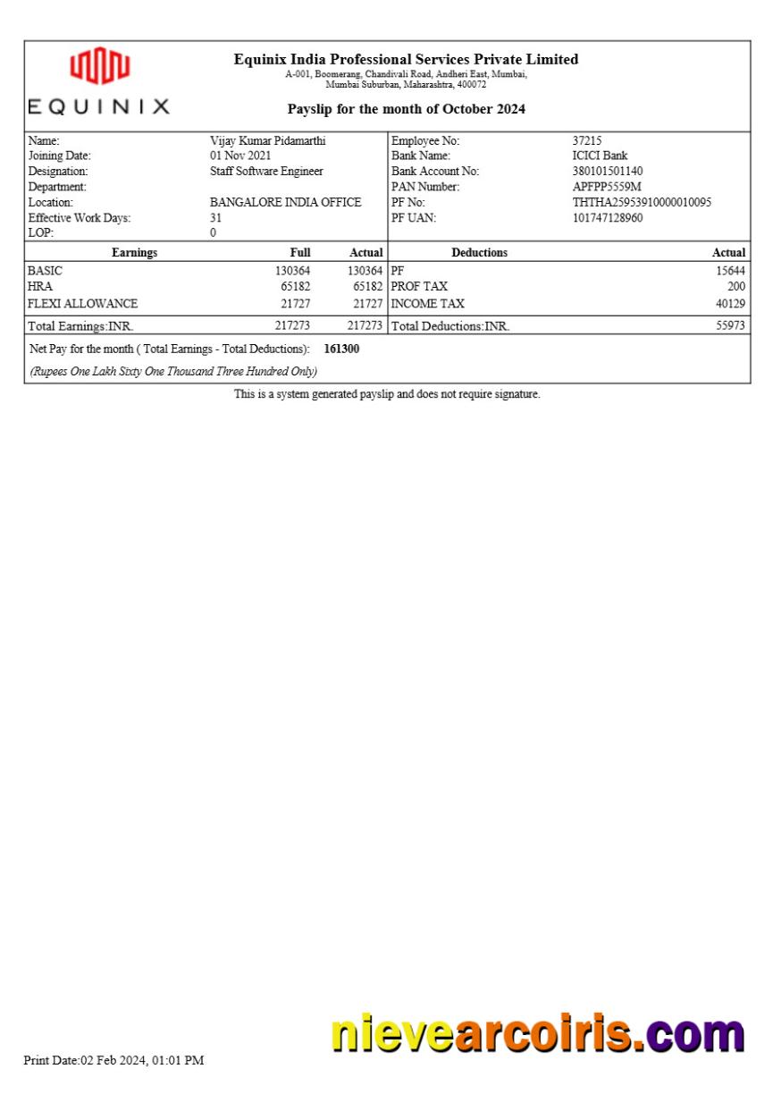 Equinix India Professional Services payslip